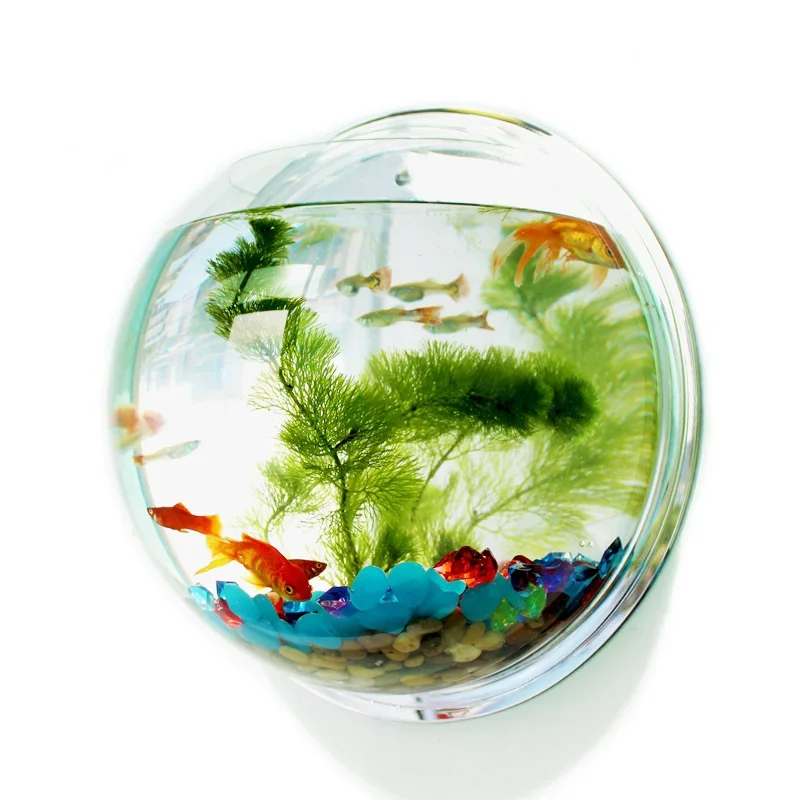 Aquarium Fish Betta - Pinsjar Acryl-Fischbecken, Wandhängendes Aquarium, Aquatische Haustierzubehör,
