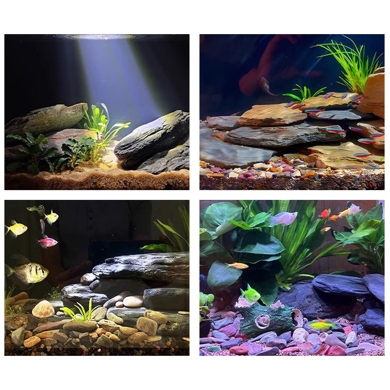 500/1000g Aquarium-Landschafts – Fish Tank Gravel Bewertung und Preis