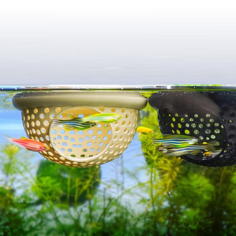 1 Stück Betta-Fisch-Hängematte – Betta Fish Tank Bewertung und Preis