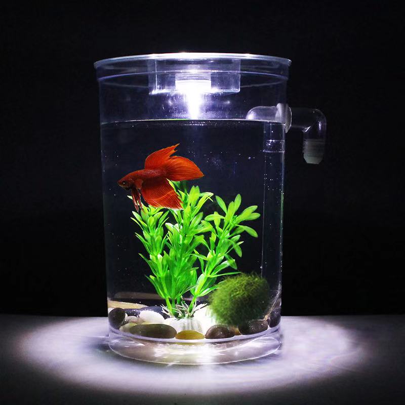 Faul Frei Wasser Ändern Deskto – Aquarium Fish Betta Bewertung und Preis