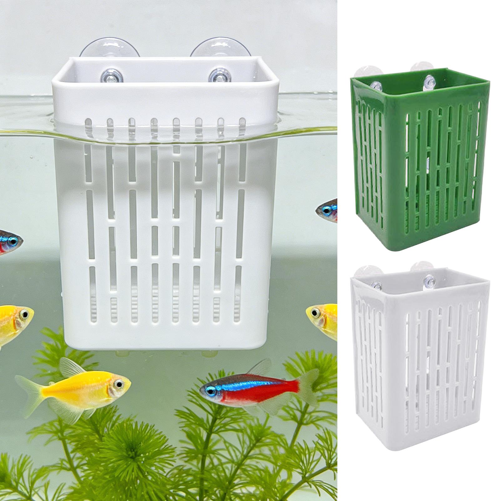 5 Stück Aquarium-Pflanzenhalte – Aquarium Decor Bewertung und Preis