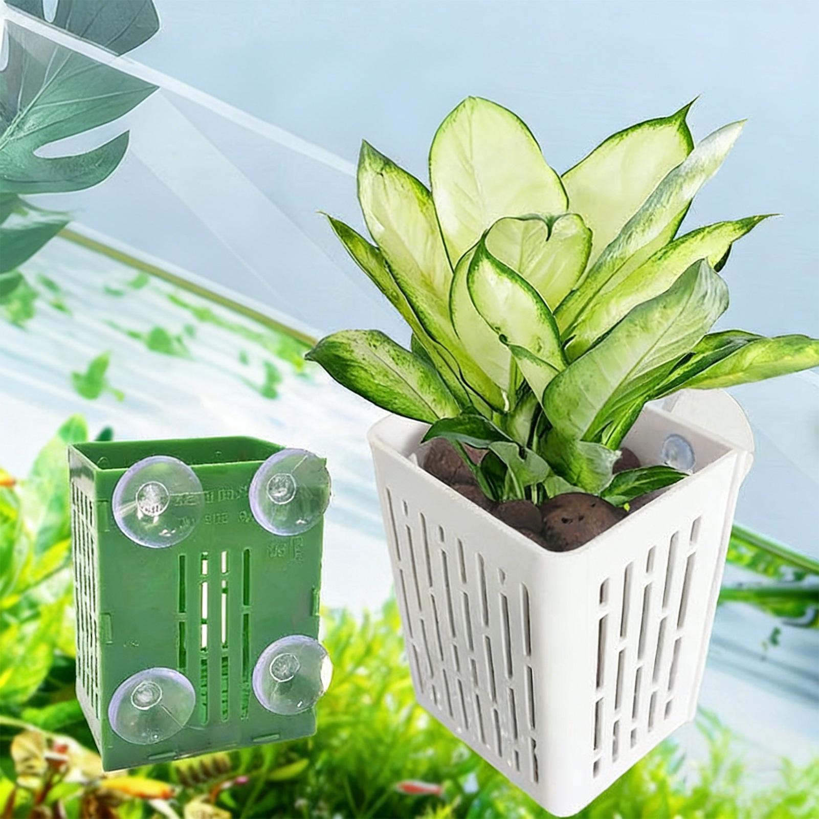 5 Stück Aquarium-Pflanzenhalte – Aquarium Decor Bewertung und Preis