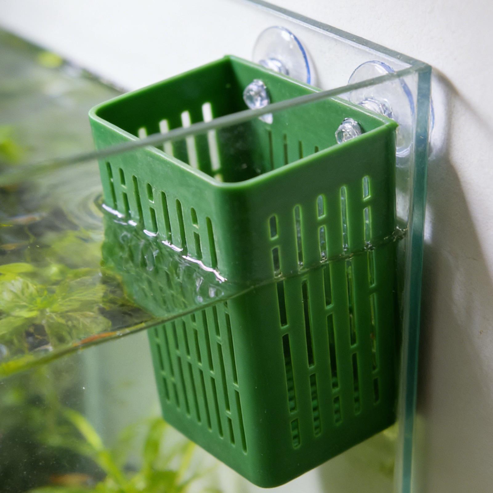 5 Stück Aquarium-Pflanzenhalte – Aquarium Decor Bewertung und Preis