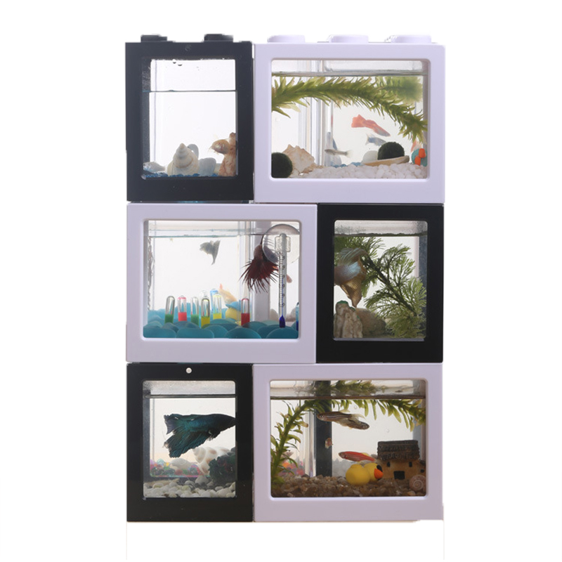 7-Farben-Mini-Aquarium für Bet – Aquarium Fish Betta Bewertung und Preis