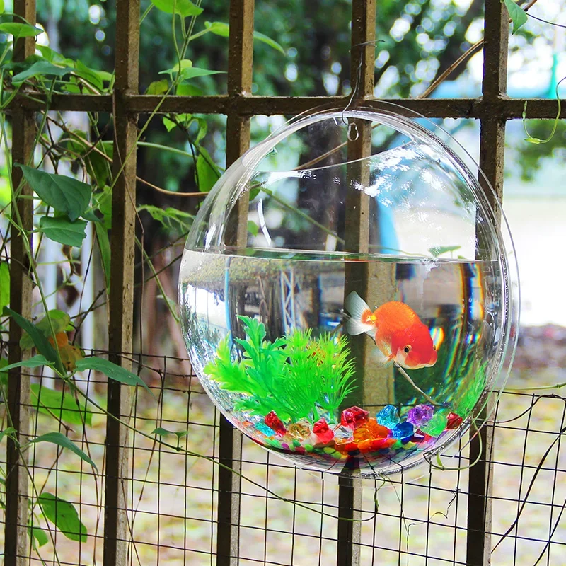 Pinsjar Acryl-Fischbecken, Wan – Aquarium Fish Betta Bewertung und Preis