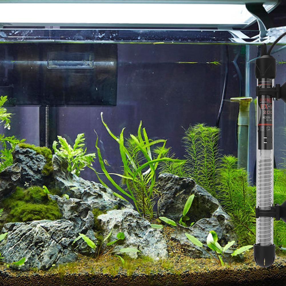 EU-Aquarienheizung 25W/50W/100 – Fish Tank Heater Bewertung und Preis