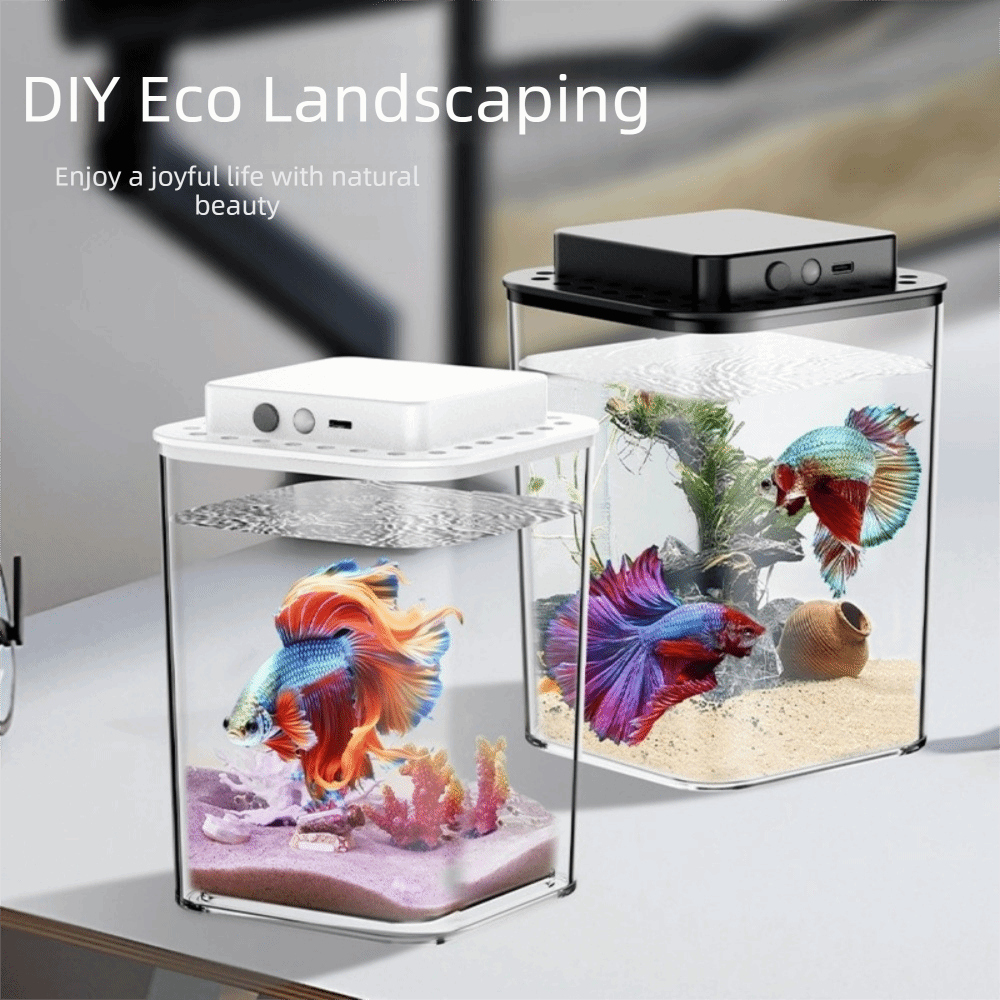 Transparentes Betta-Fischbecke – Aquarium Fish Betta Bewertung und Preis