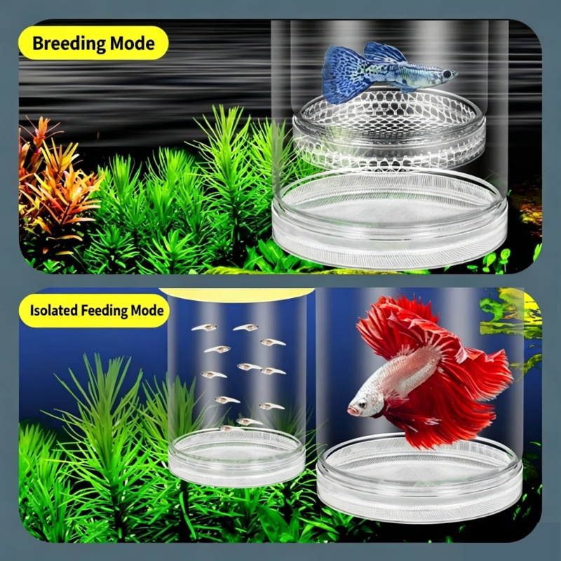 Transparente Schwimmende Aquar – Aquarium Fish Betta Bewertung und Preis